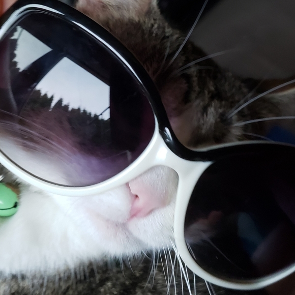 Rare Vintage Oversized Liz Claiborne Sunglasses - Picture 5 of 11